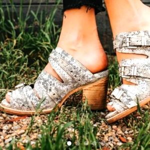 Freebird by steven caitlyn 9 white- stock photo for style